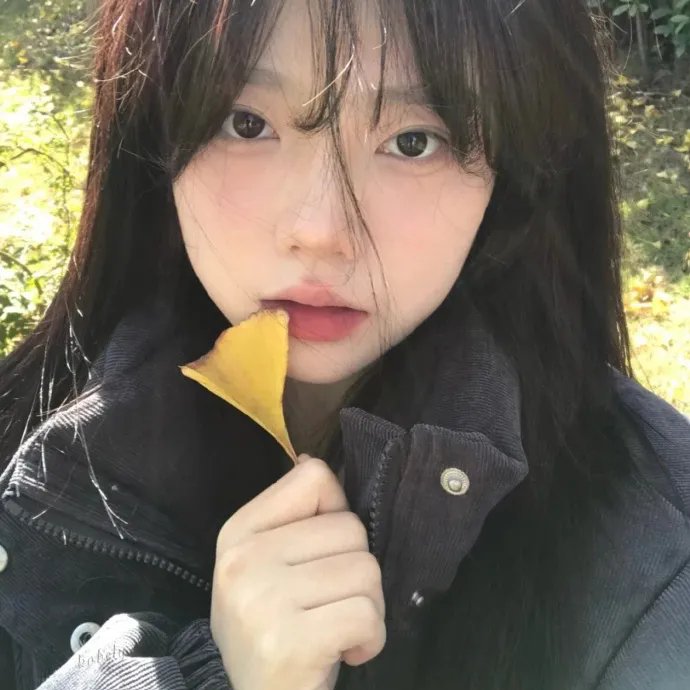 少女日记